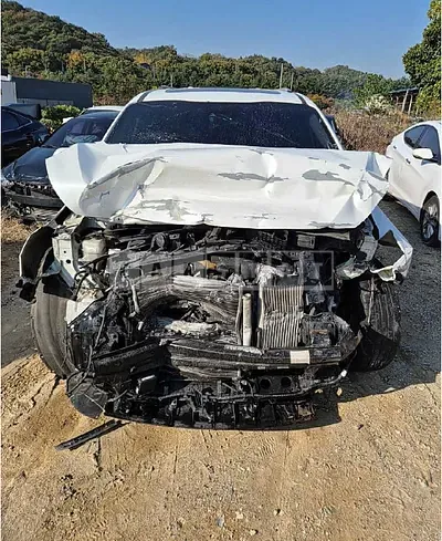 Photo 1 of 19: 2019 Kia Carnival — Korean insurance auction