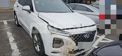 Photo 1 of 17: 2019 Hyundai Santa Fe TM 2.2 (4WD) — Korean insurance auction