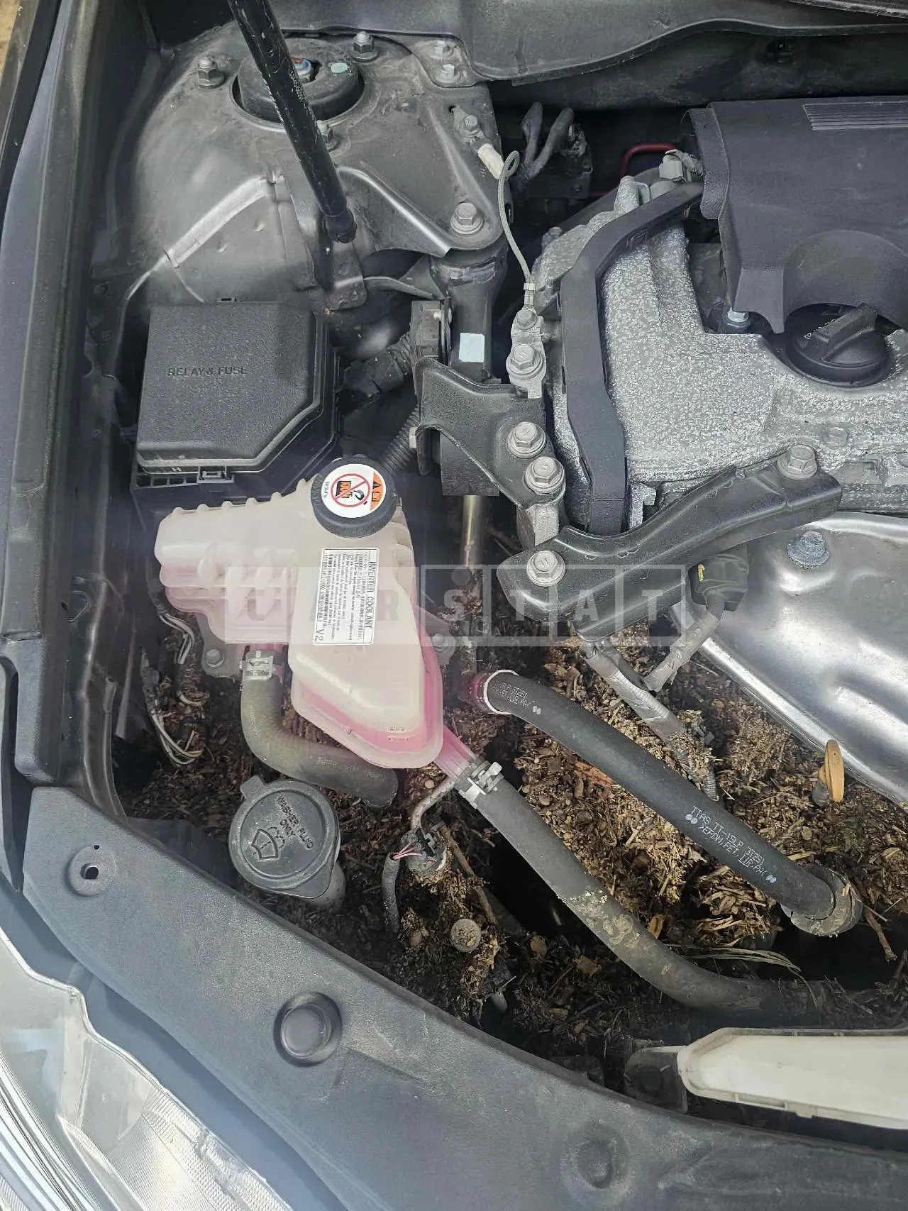 Photo 2 of 25: 2017 Toyota Camry Hybrid, VIN 4T1BD1FK0HU219214 — Korean insurance auction