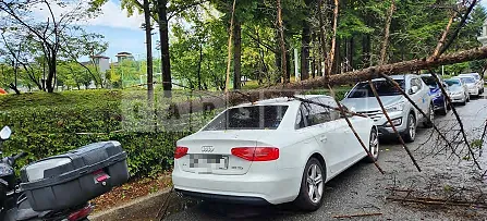 Photo 2 of 5: 2015 Audi A4 30 TDI, VIN WAUZZZ8K8FA082213 — Korean insurance auction