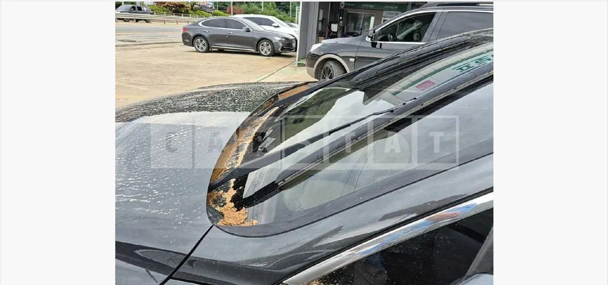 Photo 2 of 41: 2023 Kia K5 LPG — Korean insurance auction