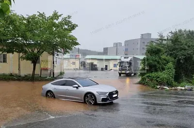 2020 audi /a7 50 tdi quattro
