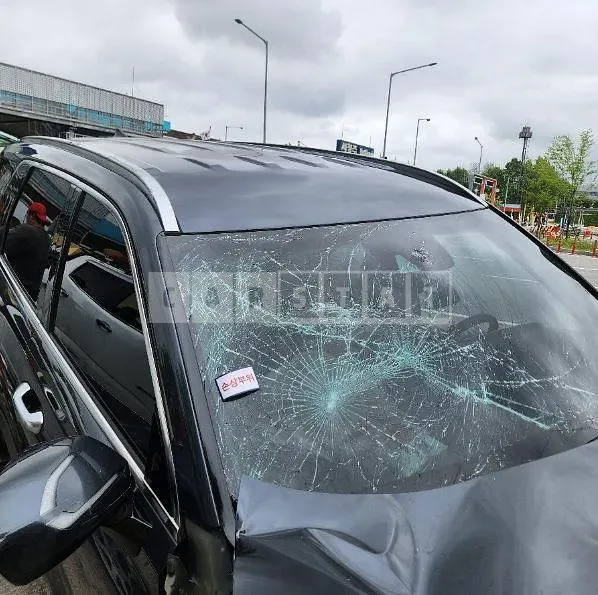 Photo 2 of 19: 2019 Hyundai Palisade 2.2 — Korean insurance auction