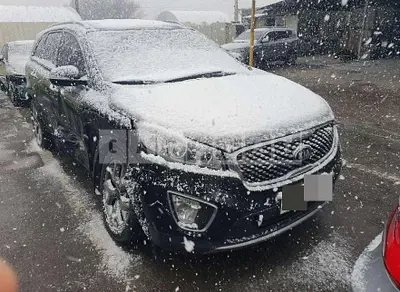 Photo 1 of 7: 2015 Kia Sorento 4WD — Korean insurance auction