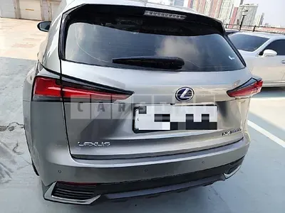 Photo 1 of 16: 2019 Lexus NX300h, VIN JTJBJRBZ6K2122128 — Korean insurance auction