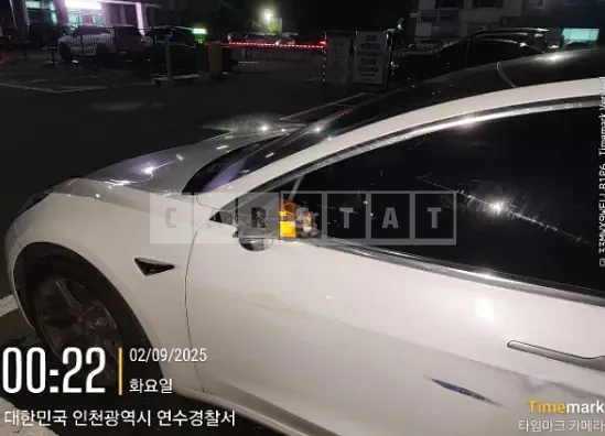 Photo 2 of 14: 2020 Tesla Model 3 LongRange — Korean insurance auction