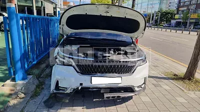 2021 Carnival carnival limousine
