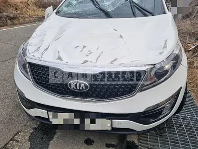 Photo 1 of 18: 2014 Kia Sportage, VIN KNAPE813BFK734582 — Korean insurance auction
