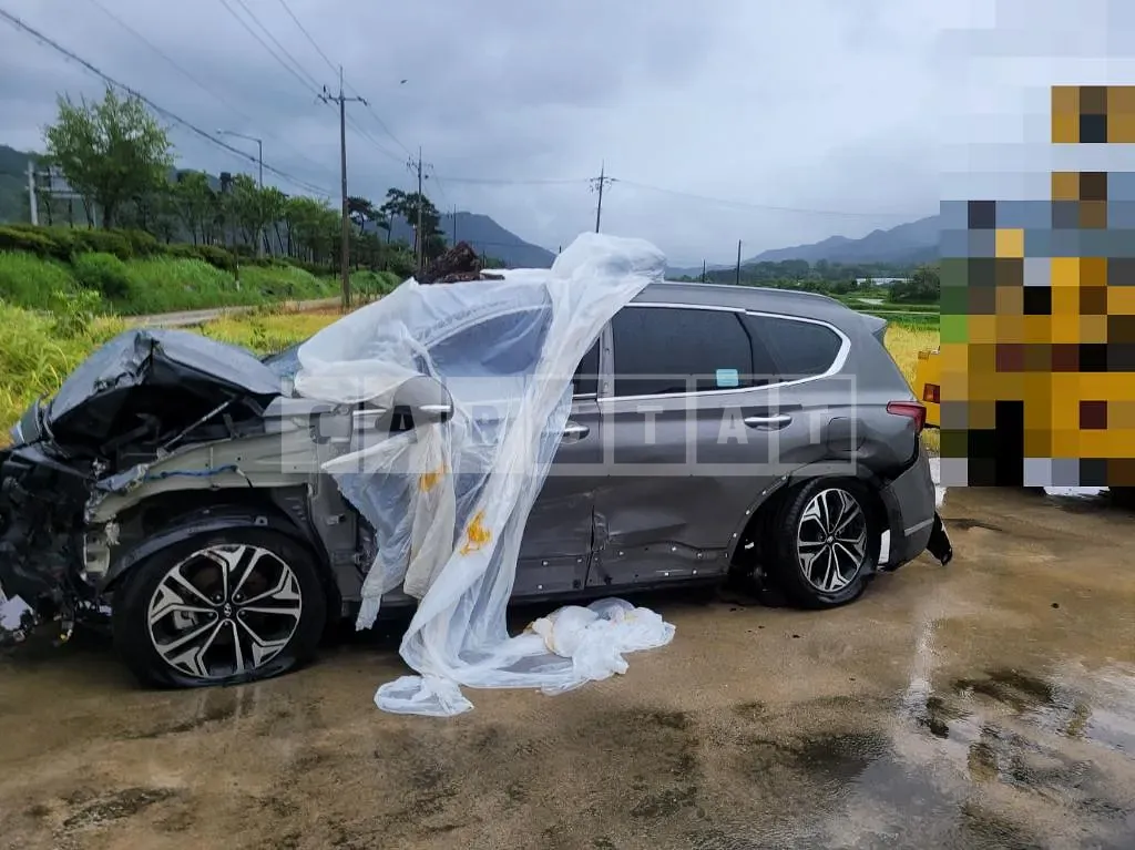 Photo 2 of 12: 2019 Hyundai Santa Fe TM 2.0T 4WD, VIN KMHS381BDLU227154 — Korean insurance auction