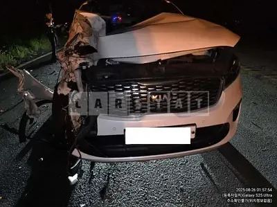 Photo 1 of 13: 2019 Kia Sorento — Korean insurance auction