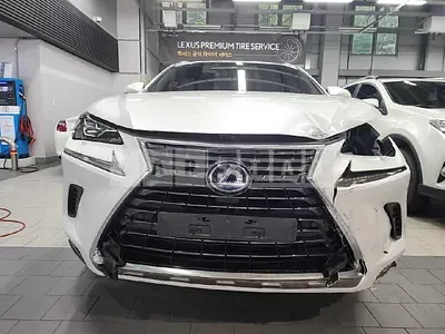 Photo 1 of 9: 2019 Lexus NX300h, VIN JTJBJRBZXK2121905 — Korean insurance auction