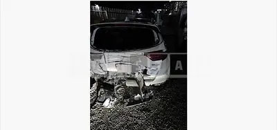 Photo 1 of 14: 2019 Kia Sportage — Korean insurance auction
