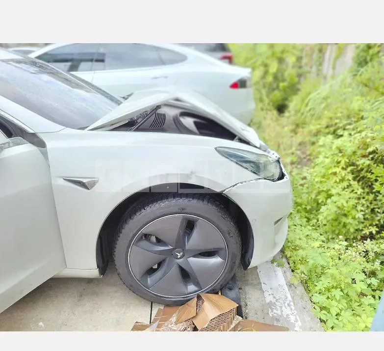 Photo 2 of 18: 2020 Tesla Model 3 Long Range — Korean insurance auction