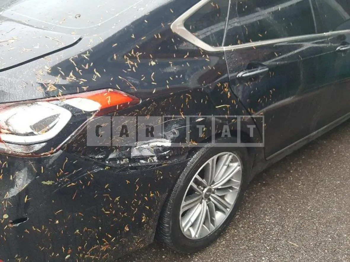 Photo 2 of 36: 2020 Genesis G80, VIN KMHGL41DBLU345412 — Korean insurance auction