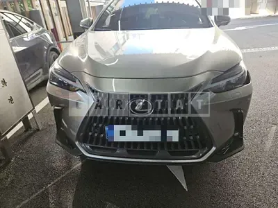 Photo 1 of 24: 2024 Lexus NX450h+ — Korean insurance auction