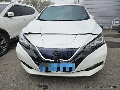 Photo 1 of 19: 2019 Nissan Leaf — Korean insurance auction