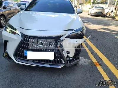 2025 Lexus NX450h+