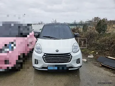 2021 smart ev z