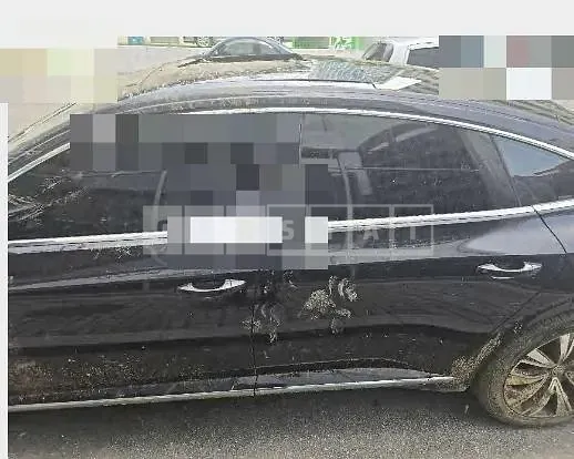 Photo 2 of 18: 2019 Volkswagen Atheon 2.0 TDI — Korean insurance auction