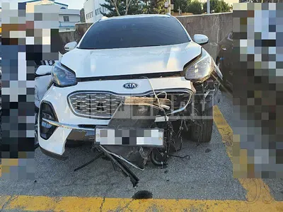 Photo 1 of 12: 2019 Kia Sportage — Korean insurance auction