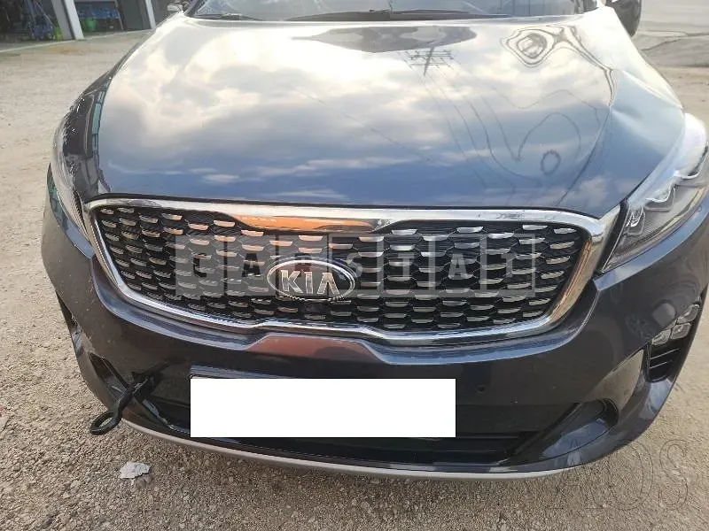 Photo 2 of 30: 2019 Kia Sorento, VIN KNAPK81ABKA518404 — Korean insurance auction