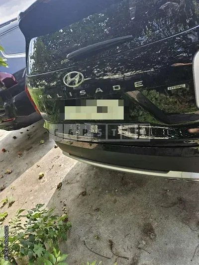 Photo 1 of 18: 2019 Hyundai Palisade Diesel 2.2 4WD — Korean insurance auction