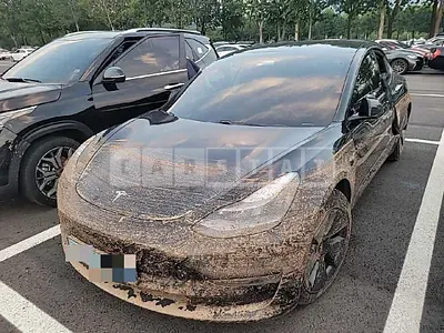 Photo 1 of 6: 2021 Tesla Captestla Model 3 Standard Range Plus — Korean insurance auction