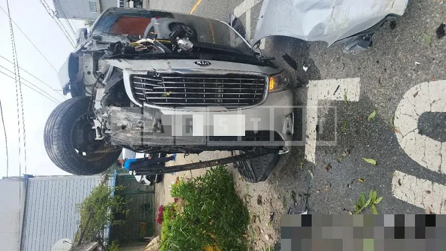 Photo 2 of 15: 2015 Kia Carnival 2.2 — Korean insurance auction