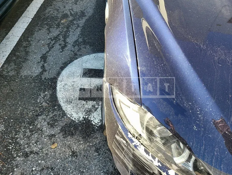 Photo 2 of 7: 2015 Jaguar XF 2.2d — Korean insurance auction