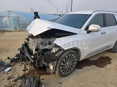 Photo 1 of 4: 2022 Hyundai Palisade — Korean insurance auction