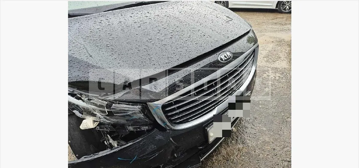 Photo 2 of 18: 2017 Kia Carnivals — Korean insurance auction