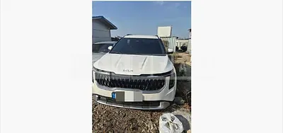Photo 1 of 77: 2024 Kia Carnivals — Korean insurance auction