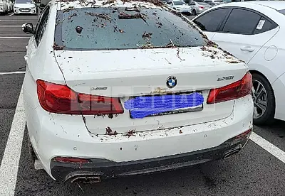 Photo 1 of 5: 2018 BMW 530i xDrive, VIN WBAJD9103JB277482 — Korean insurance auction