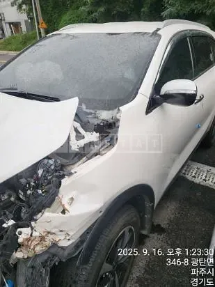 Photo 2 of 9: 2019 Kia Sorento — Korean insurance auction