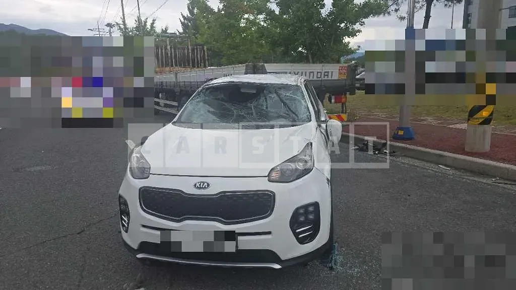 Photo 2 of 14: 2016 Kia Sportage 1.7 — Korean insurance auction