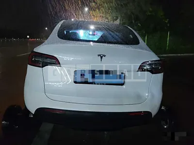 Photo 1 of 19: 2024 Tesla Model Y RWD — Korean insurance auction