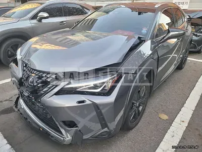Photo 1 of 17: 2019 Lexus Ux 250h 2WD, VIN JTHY6JBHXK2026749 — Korean insurance auction