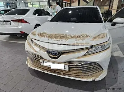 Photo 1 of 8: 2019 Toyota Camry Hybrid — Korean insurance auction