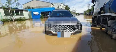 Photo 1 of 2: 2020 Hyundai Calm Santa Fe 2.2 (4WD) — Korean insurance auction
