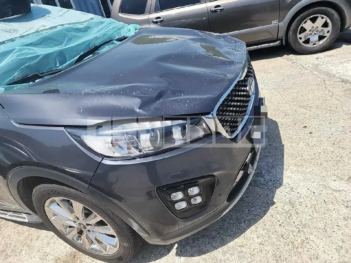 Photo 2 of 15: 2017 Kia Sorento — Korean insurance auction