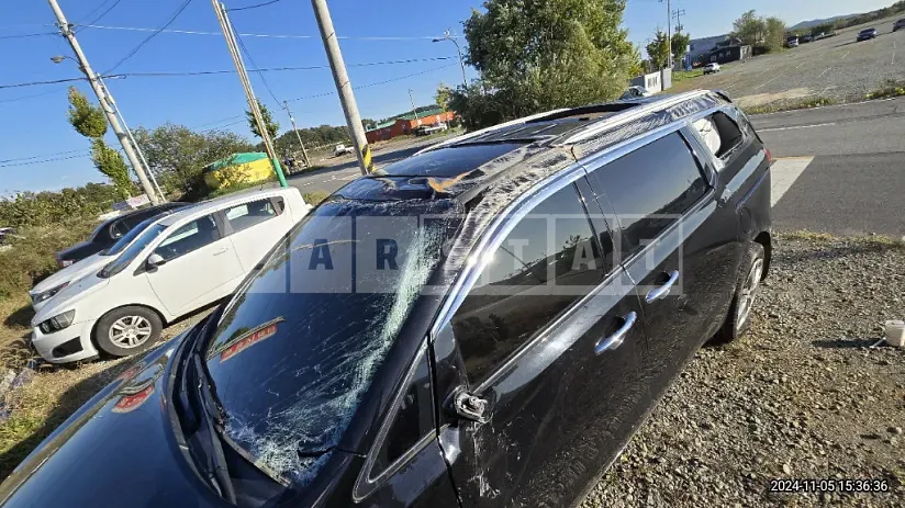 Photo 2 of 10: 2017 Kia Carnivals — Korean insurance auction