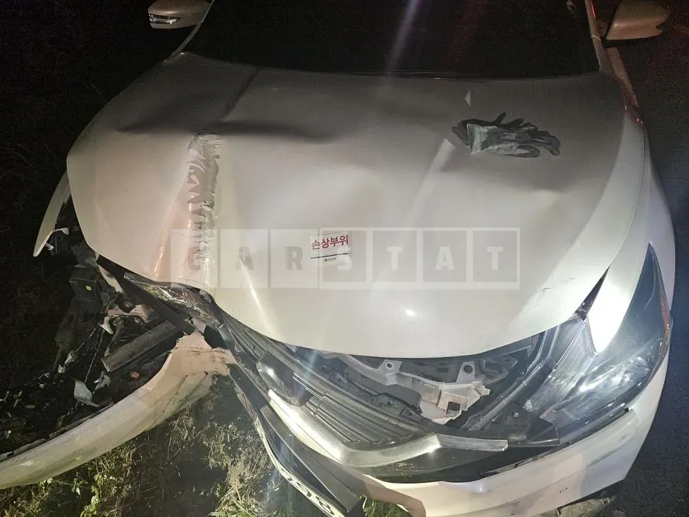 Photo 2 of 4: 2017 Nissan Altima 2.5, VIN 1N4AL3AP0HC297165 — Korean insurance auction