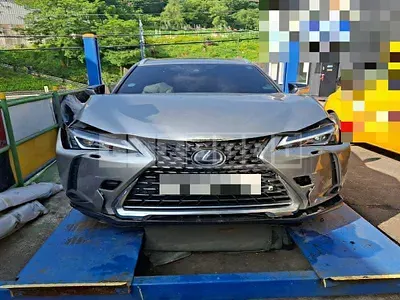 2020 Lexus UX250h