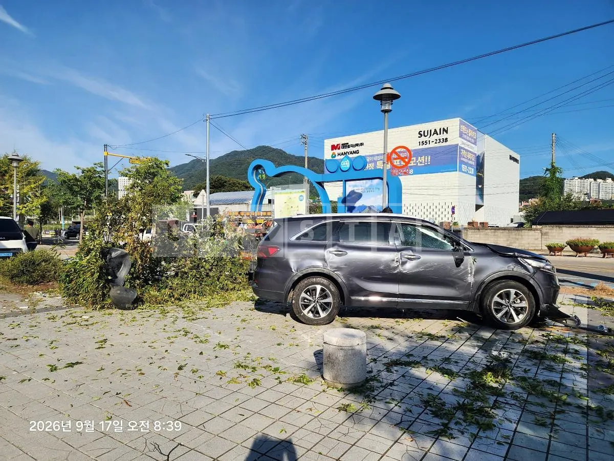 Photo 2 of 11: 2019 Kia Sorento 2.0 (Gasoline) — Korean insurance auction