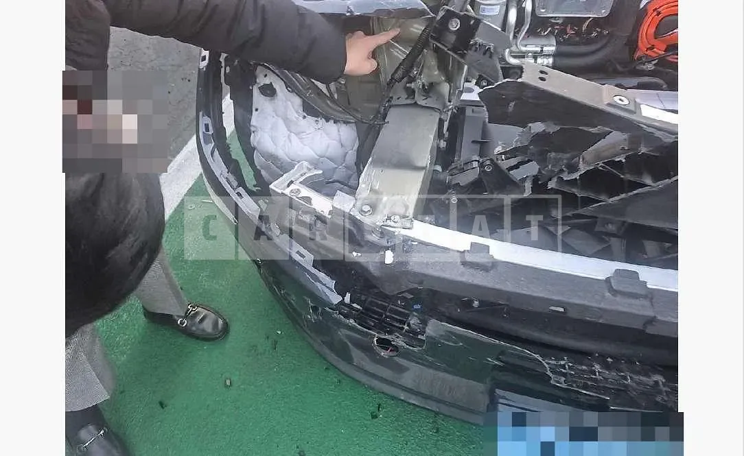 Photo 2 of 113: 2025 Tesla Model Y RWD — Korean insurance auction