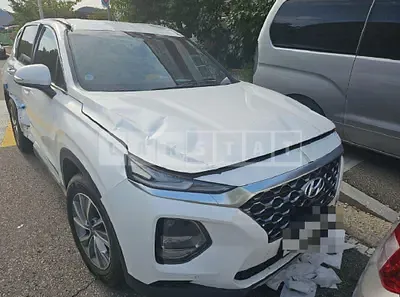Photo 1 of 27: 2019 Hyundai Santa Fe TM 2.0, VIN KMHS281BBLU252014 — Korean insurance auction
