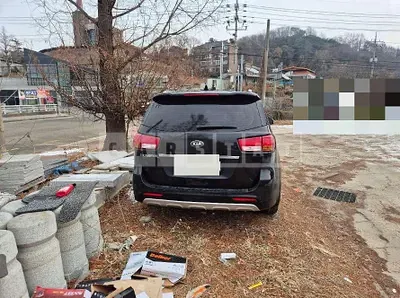 Photo 1 of 12: 2015 Kia Carnivals — Korean insurance auction