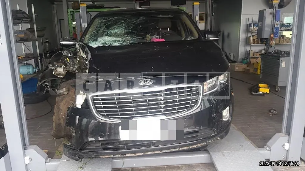 Photo 2 of 41: 2014 Kia Carnival — Korean insurance auction