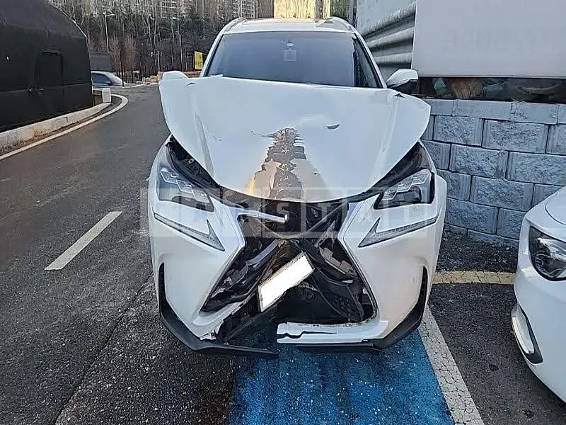 Photo 2 of 92: 2016 Lexus NX300h, VIN JTJBJRBZ0G2031735 — Korean insurance auction