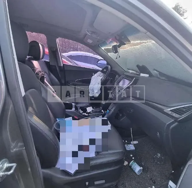 Photo 2 of 15: 2015 Hyundai Santa Fe DM — Korean insurance auction
